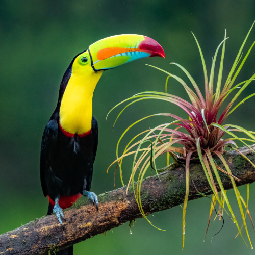Tour and event planning services offered by Colombia Assist in Colombia - colombiaassist.com